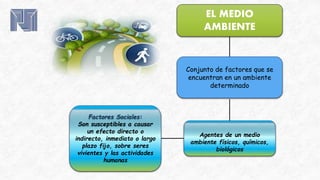 EL MEDIO
AMBIENTE
Conjunto de factores que se
encuentran en un ambiente
determinado
Agentes de un medio
ambiente físicos, químicos,
biológicos
Factores Sociales:
Son susceptibles a causar
un efecto directo o
indirecto, inmediato o largo
plazo fijo, sobre seres
vivientes y las actividades
humanas
 