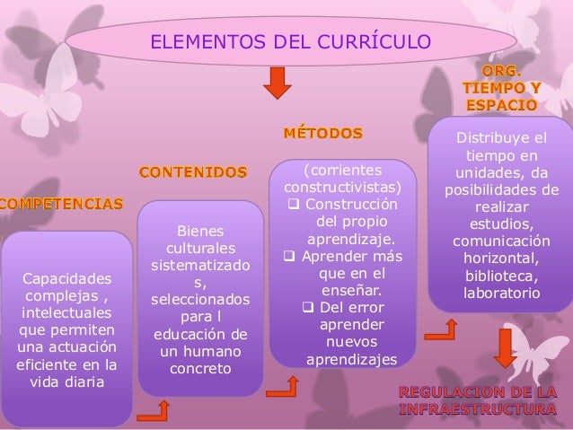 Cuales Son Las Caracteristicas Del Curriculum arbolgenealogicoweb.blogspot.com