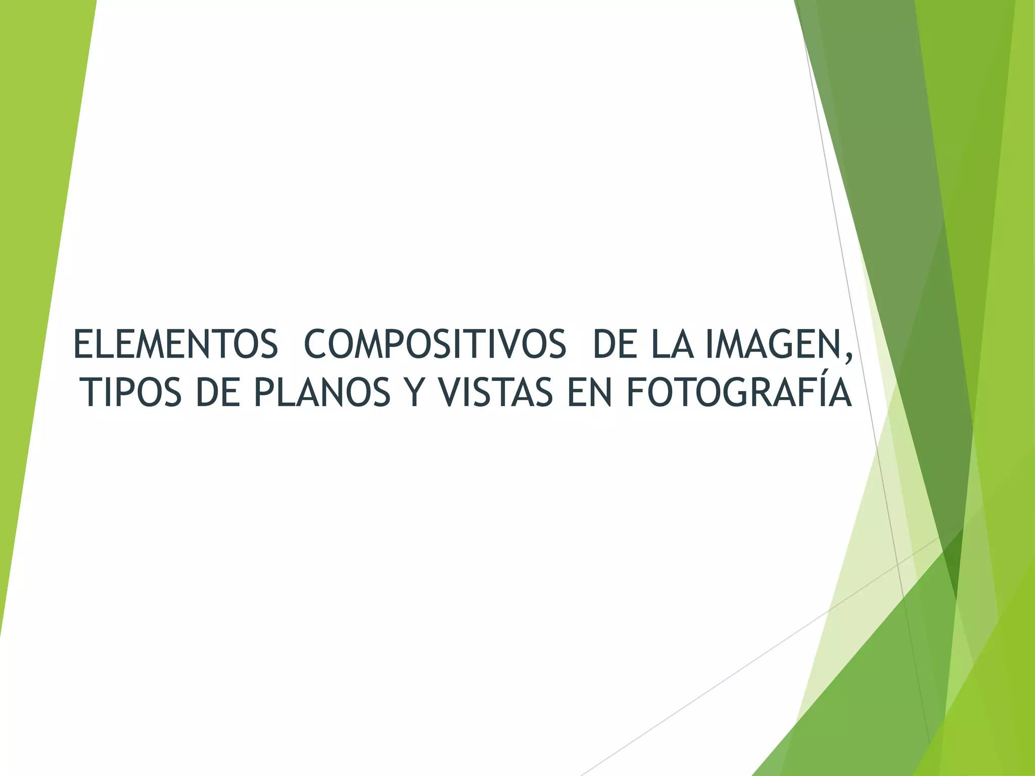 ELEMENTOS COMPOSITIVOS DE LA IMAGEN,
TIPOS DE PLANOS Y VISTAS EN FOTOGRAFÍA
 