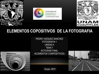 ELEMENTOS COPOSITIVOS DE LA FOTOGRAFIA
PEDRO VAZQUEZ SANCHEZ
FOTOGRAFIA 1
UNIDAD 4
TEMA 7
ACTIVIDAD FINAL
«ELEMENTOS COMPOSITIVOS»
Grupo: 9231
 