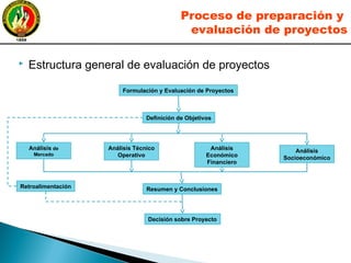  Estructura general de evaluación de proyectos
Formulación y Evaluación de Proyectos
Definición de Objetivos
Análisis de
Mercado
Análisis Técnico
Operativo
Análisis
Económico
Financiero
Análisis
Socioeconómico
Retroalimentación Resumen y Conclusiones
Decisión sobre Proyecto
Proceso de preparación y
evaluación de proyectos
 