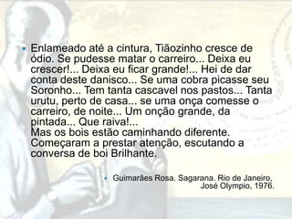    Enlameado até a cintura, Tiãozinho cresce de
    ódio. Se pudesse matar o carreiro... Deixa eu
    crescer!... Deixa eu ficar grande!... Hei de dar
    conta deste danisco... Se uma cobra picasse seu
    Soronho... Tem tanta cascavel nos pastos... Tanta
    urutu, perto de casa... se uma onça comesse o
    carreiro, de noite... Um onção grande, da
    pintada... Que raiva!...
    Mas os bois estão caminhando diferente.
    Começaram a prestar atenção, escutando a
    conversa de boi Brilhante.

                     Guimarães Rosa. Sagarana. Rio de Janeiro,
                                           José Olympio, 1976.
 