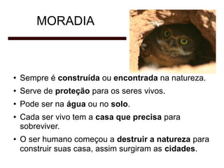 MORADIA

●

Sempre é construída ou encontrada na natureza.

●

Serve de proteção para os seres vivos.

●

Pode ser na água ou no solo.

●

●

Cada ser vivo tem a casa que precisa para
sobreviver.
O ser humano começou a destruir a natureza para
construir suas casa, assim surgiram as cidades.

 