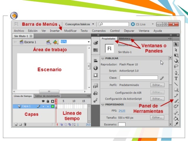 Herramientas De Flash Y Sus Funciones