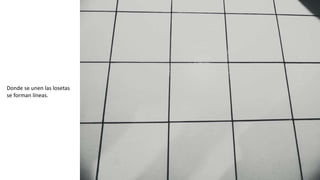 Donde se unen las losetas
se forman líneas.