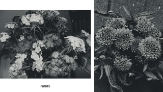 FLORES