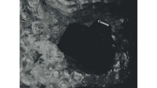 Elementos de composicion