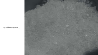 La sal forma puntos.