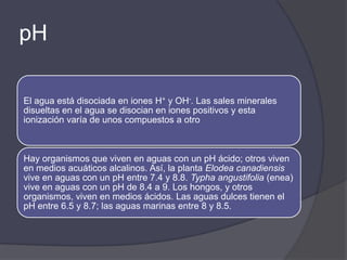 pH

El agua está disociada en iones H+ y OH-. Las sales minerales
disueltas en el agua se disocian en iones positivos y esta
ionización varía de unos compuestos a otro



Hay organismos que viven en aguas con un pH ácido; otros viven
en medios acuáticos alcalinos. Así, la planta Elodea canadiensis
vive en aguas con un pH entre 7.4 y 8.8. Typha angustifolia (enea)
vive en aguas con un pH de 8.4 a 9. Los hongos, y otros
organismos, viven en medios ácidos. Las aguas dulces tienen el
pH entre 6.5 y 8.7; las aguas marinas entre 8 y 8.5.
 