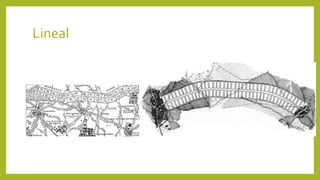 Lineal
 
