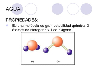 AGUA
PROPIEDADES:
 Es una molécula de gran estabilidad química. 2
átomos de hidrogeno y 1 de oxigeno.
 