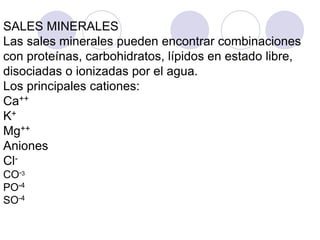 SALES MINERALES
Las sales minerales pueden encontrar combinaciones
con proteínas, carbohidratos, lípidos en estado libre,
disociadas o ionizadas por el agua.
Los principales cationes:
Ca++
K+
Mg++
Aniones
Cl-
CO-3
PO-4
SO-4
 