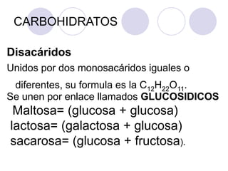 Disacáridos
Unidos por dos monosacáridos iguales o
diferentes, su formula es la C12H22O11.
Se unen por enlace llamados GLUCOSIDICOS
Maltosa= (glucosa + glucosa)
lactosa= (galactosa + glucosa)
sacarosa= (glucosa + fructosa).
CARBOHIDRATOS
 