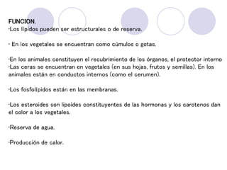 FUNCION.
•Los lípidos pueden ser estructurales o de reserva.
• En los vegetales se encuentran como cúmulos o gotas.
•En los animales constituyen el recubrimiento de los órganos, el protector interno
•Las ceras se encuentran en vegetales (en sus hojas, frutos y semillas). En los
animales están en conductos internos (como el cerumen).
•Los fosfolípidos están en las membranas.
•Los esteroides son lipoides constituyentes de las hormonas y los carotenos dan
el color a los vegetales.
•Reserva de agua.
•Producción de calor.
 