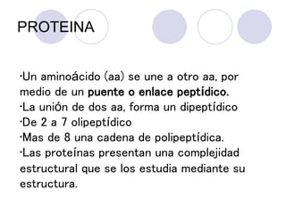 •Un aminoácido (aa) se une a otro aa, por
medio de un puente o enlace peptídico.
•La unión de dos aa, forma un dipeptídico
•De 2 a 7 olipeptídico
•Mas de 8 una cadena de polipeptídica.
•Las proteínas presentan una complejidad
estructural que se los estudia mediante su
estructura.
PROTEINA
 
