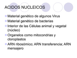 ACIDOS NUCLEICOS
Material genético de algunos Virus
Material genético de bacterias
Interior de las Células animal y vegetal
(núcleo)
Organelos como mitocondrias y
cloroplastos
ARN ribosómico; ARN transferencia; ARN
mensajero
 