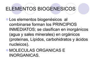 ELEMENTOS BIOGENESICOS
Los elementos biogenésicos al
combinarse forman los PRINCIPIOS
INMEDIATOS; se clasifican en inorgánicos
(agua y sales minerales) en orgánicos
(proteínas, Lípidos, carbohidratos y ácidos
nucleicos).
MOLECULAS ORGANICAS E
INORGANICAS.
 