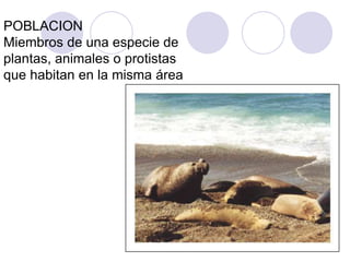 POBLACION
Miembros de una especie de
plantas, animales o protistas
que habitan en la misma área
 
