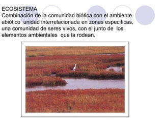 ECOSISTEMA
Combinación de la comunidad biótica con el ambiente
abiótico unidad interrelacionada en zonas especificas,
una comunidad de seres vivos, con el junto de los
elementos ambientales que la rodean.
 