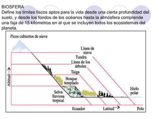 BIOSFERA
Define los limites fiscos aptos para la vida desde una cierta profundidad del
suelo, y desde los fondos de los océanos hasta la atmósfera comprende
una faja de 15 kilómetros en al que se incluyen todos los ecosistemas del
planeta.
 