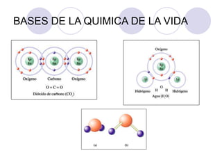 BASES DE LA QUIMICA DE LA VIDA
 