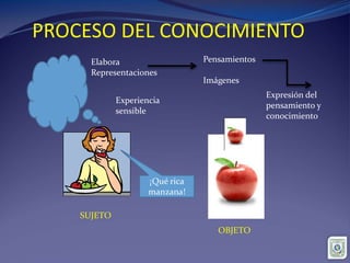 PROCESO DEL CONOCIMIENTO
SUJETO
OBJETO
Experiencia
sensible
Elabora
Representaciones
Pensamientos
Imágenes
¡Qué rica
manzana!
Expresión del
pensamiento y
conocimiento
 
