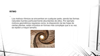 RITMO
•
Los motivos rítmicos se encuentran en cualquier parte, siendo las formas
naturales fuentes particularmente abundantes de ellos. Por ejemplo
motivos geométricos regulares como, la disposición de las hojas de
ciertas plantas, están incluidos en formas más complejas que a su vez
se repiten a mayor tamaño.
 