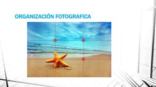 ORGANIZACIÓN FOTOGRAFICA
 