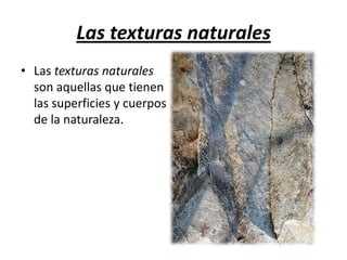 Las texturas naturalesLas texturas naturales son aquellas que tienen las superficies y cuerpos de la naturaleza.