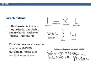 Características:
• Inflexible e indisciplinada,
muy delicada, ondulada o
audaz y burda. Vacilante,
indecisa, interrogante.
• Personal: manuscrito adopta
la forma de curvas
nerviosas, reflejo de la
actividad inconsciente.
La línea
 