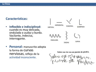 Características:
• Inflexible e indisciplinad:
cuando es muy delicada,
ondulada o audaz y burda.
Vacilante, indecisa,
interrogante.
• Personal: manuscrito adopta
la forma de curvas
nerviosas, reflejo de la
actividad inconsciente.
La línea
 