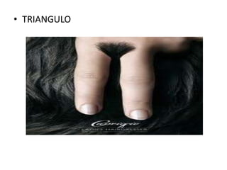 • TRIANGULO

 