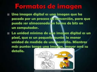    Una imagen digital es una imagen que ha
    pasado por un proceso de conversión, para que
    pueda ser almacenada en forma de bits en
    un computador.
   La unidad mínima de una imagen digital es un
    pixel, que es un pequeño punto; la menor
    unidad de medida de una pantalla. Mientras
    más puntos tenga una imagen, mayor será su
    detalle.
 
