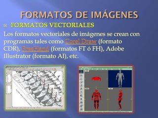 Elementos de la multimedia Antonella Aldaz
