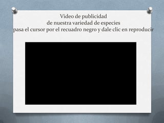 Video de publicidad
               de nuestra variedad de especies
pasa el cursor por el recuadro negro y dale clic en reproducir
 