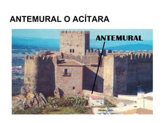 ANTEMURAL O ACÍTARA