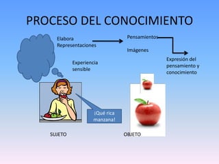 PROCESO DEL CONOCIMIENTOPensamientos ImágenesElabora RepresentacionesExpresión del pensamiento y conocimientoExperiencia sensible¡Qué rica manzana!SUJETOOBJETO