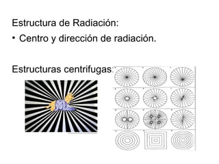 Estructura de Radiación: Centro y dirección de radiación. Estructuras centrifugas: 