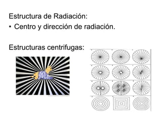 Estructura de Radiación:
• Centro y dirección de radiación.
Estructuras centrifugas:
 