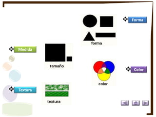 Forma
Medida
Color
Textura
Medida
Forma
Textura
Color
 