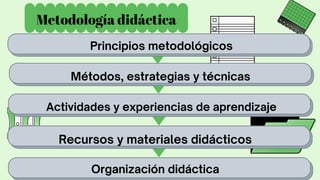 Metodología didáctica
Principios metodológicos
Métodos, estrategias y técnicas
Actividades y experiencias de aprendizaje
Recursos y materiales didácticos
Organización didáctica
 