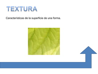 Características de la superficie de una forma. 