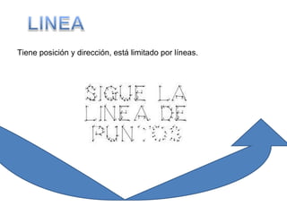 Tiene posición y dirección, está limitado por líneas. 