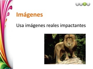 Imágenes
Usa imágenes reales impactantes
2
1 3 4
 