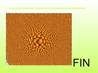 FIN 
