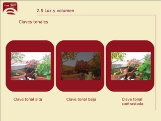 2.5 Luz y volumen
Claves tonales
Clave tonal alta Clave tonal baja Clave tonal
contrastada
 
