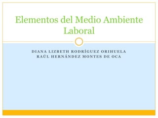 Diana Lizbeth Rodríguez Orihuela Raúl Hernández Montes de Oca Elementos del Medio Ambiente Laboral 
