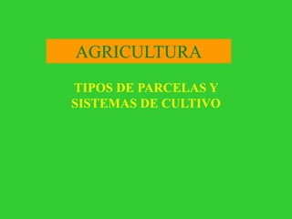 AGRICULTURA
TIPOS DE PARCELAS Y
SISTEMAS DE CULTIVO
 
