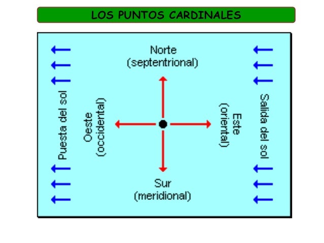 Planos Cardinales