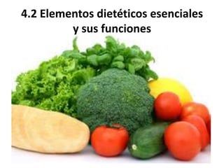 4.2 Elementos dietéticos esenciales
y sus funciones
 